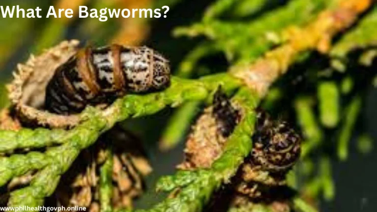 What Are Bagworms